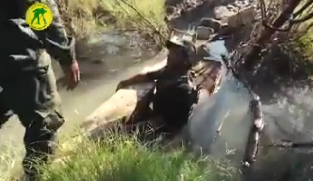 شاهد كيف شكل اثنان من مقاتلي الحشد جسرا على الساقية ليعبر بقية المقاتلين الى المعركة