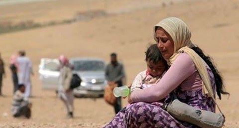 الرد السريع يخلي 65 عائلة من شرق الفلوجة الى مناطق أمنة.