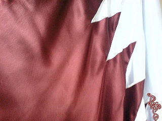 مسؤول قطري يطلب اللجوء السياسي الى فنزويلا :قطر تعمل وفق تعليمات اسرائيلية