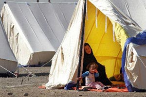 216 عائلة مهجرة تعود الى مناطق سكناها من محافظة كربلاء