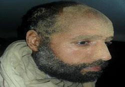 سيف الإسلام يكشف كنوز والده