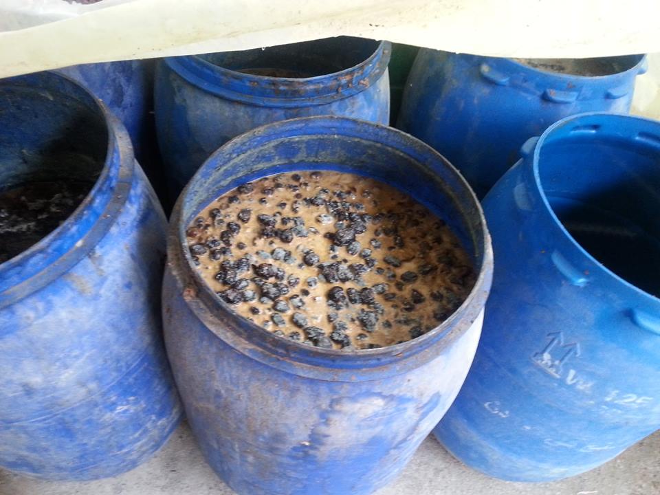 كربلاء : إتلاف أطنان من الطرشي لاحتوائها على مواد سامة(مصور)