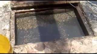 كربلاء :مياه المجاري تدخل دور المواطنين بسبب خلل فني في منطقة حي رمضان