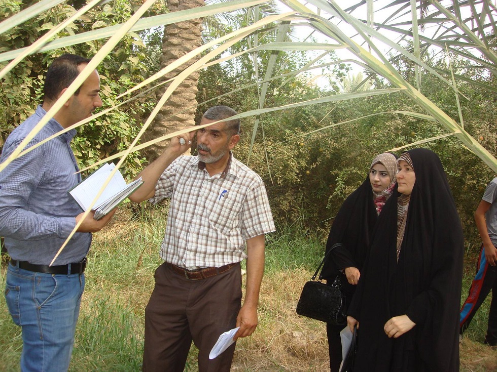 حملة لمكافحة القوارض في بساتين كربلاء