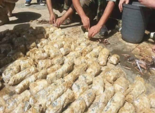 بالصور.. بقرة تحمل ذخائر للارهابيين  في أحشائها