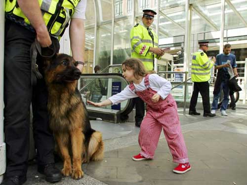 بريطانيا تمنح الكلاب البوليسية معاشا تقاعديا