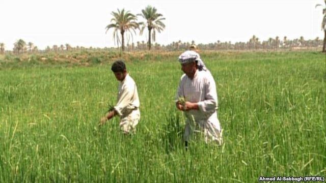 تأسيس جمعية للمنتفعين من المصدر المائي المشترك ضمن حدود مديرية واسط