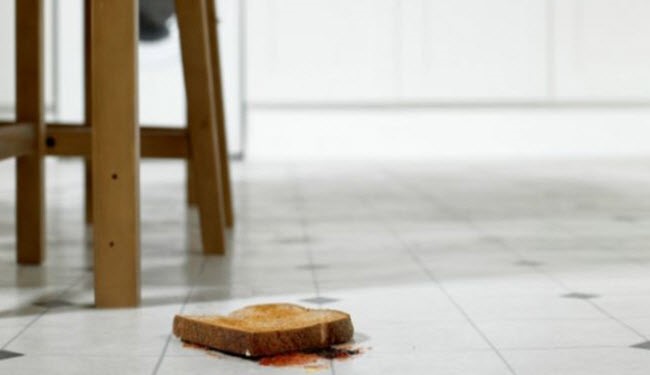 ماذا سيحدث لو تناولت طعاما سقط منك على الأرض؟