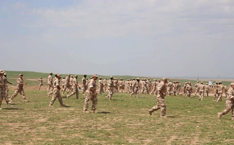 تسمم 45 عنصراً من حشد النجيفي بسبب طعام فاسد