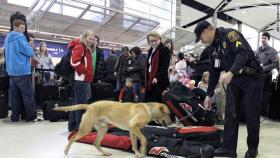 أميركا : القبض على عراقيين هربا اموالا من الأردن