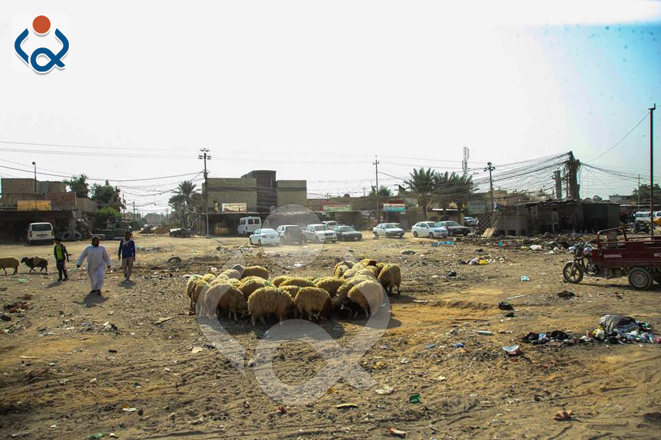 كربلاء: مجازر بالهواء الطلق امام انظار المسؤولين (مصور)