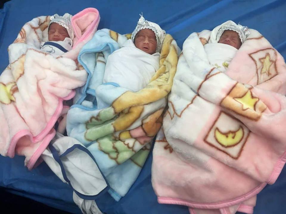 سيدة كربلائية عشرينية تُنجب ثلاثة توائم في حالة هي الرابعه بالمحافظة خلال العام الحالي
