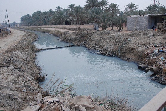 تنظيف المبزل شمال كربلاء بعد تقرير نشرته وكالة نون في وقت سابق +صوره