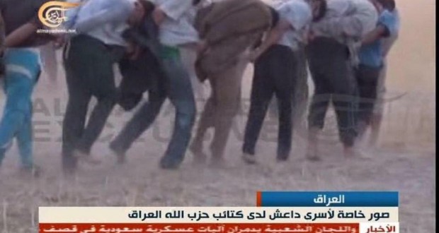 الحشد الشعبي يكشف تفاصيل أسر "كتائب حزب الله" لعناصر "داعش" بالانبار