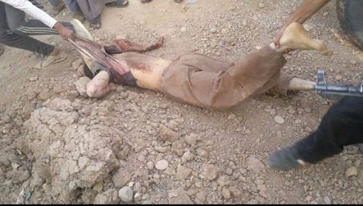 بالصور :قتلى داعش الارهابي واسراهم في امرلي الباسلة البطلة