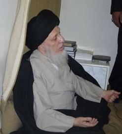 المرجع الحكيم يتهم جهات ذات نفوذ سياسي بحملة ابادة جماعية ضد الشيعة