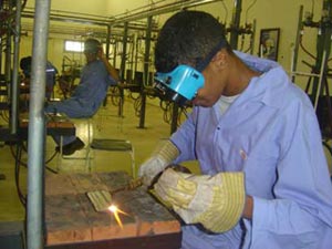 تراجع وتدهور التعليم المهني بفرعيه الزراعي والصناعي في كربلاء