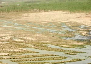 شمول 24 مقاطعة زراعية بمشروع الاستصلاح في الجدول الغربي بكربلاء