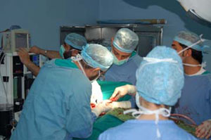 43 طبيبا وطبيبة تم تعيينهم  في مستشفيات كربلاء