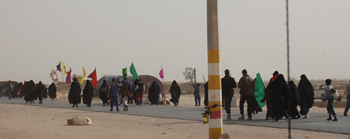 مليونا زائر يزحفون من البصرة نحو كربلاء مشيا على الاقدام