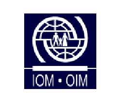 منظمة الهجرة: قادرون على نقل 100 ألف عراقي الى الولايات المتحدة