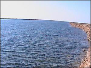 تشغيل محطة ضخ الرزازة أدى لانخفاض المياه الجوفية وتحسين الوضع الزراعي في كربلاء