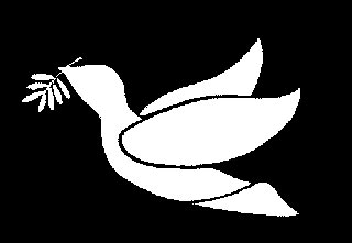 ورشة لنبذ العنف ونشر السلام وبناء السلم بين المواطنين في كربلاء