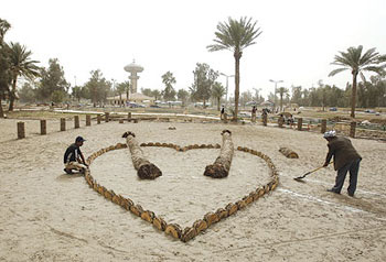 بغداد تحتضن أول مهرجان دولي للزهور الشهر المقبل