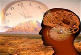 نوم القيلولة يرفع كفاءة الساعة البيولوجية في الجسم