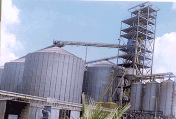 بعد توقف ست سنوات تشغيل مصنع صناعة السكر  التابع لوزارة الصناعة والمعادن