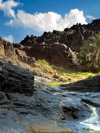 ستة مرشحين يتنافسون على منصب رئاسة اقليم كردستان العراق