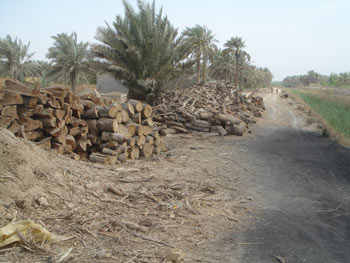 حملة واسعة لهدم وازالة كور الفحم في كربلاء