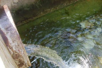 بكلفة 85 مليار دينار مشروع لمعالجة المياه الثقيلة  في بحر النجف