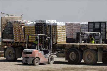 بعد انقطاع دام لسنوات :شاحنات من مناطق الجنوب والوسط تتبضع من ناحية ربيعة في الموصل