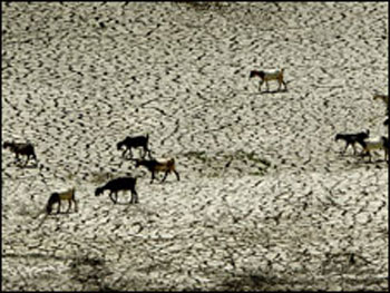 الجارديان: نصف سكان العالم مهددون بالعطش