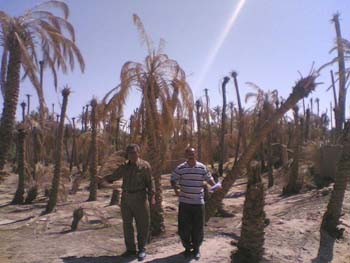 قضاء بدرة ومعاناته من ضعف الخدمات وابرزها شحة المياه