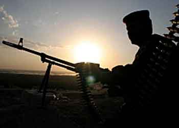 حيوانات مفترسة تجتاح مناطق شمال كربلاء