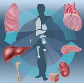 اعتقال  عصابة تتاجر بالأعضاء البشرية في منطقة باب الطوب بالموصل