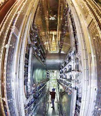 عصفور يعطل أكبر مشروع علمي في تاريخ البشر