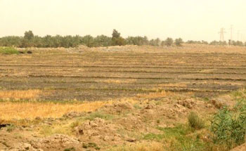 بغداد تشهد انعقاد مؤتمر علمي دولي لمناقشة مشكلتي التصحر ونقص المياه