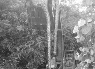 أفعى طولها 55 قدماً وعمرها 140 سنة