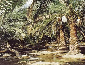 الموارد المائية تباشر بمشروع (الري بالانابيب) في قضاء عين التمر وبتكلفة  (1،610) مليار دينار