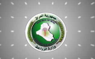 الزراعة تنفي قرار حظر استيراد الفواكه والخضر من دول الجوار