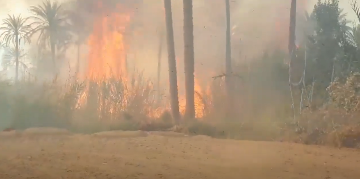حريق كبير يلتهم بساتين "عين التمر" غربي كربلاء