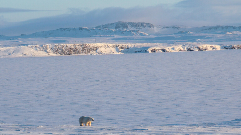 ارتفاع حرارة القطب الشمالي بوتائر قياسية