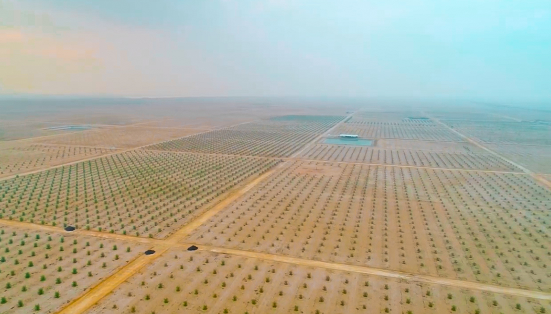 الزراعة النيابية: نسعى لتشريع قانون خاص بتمليك الاراضي الصحراوية