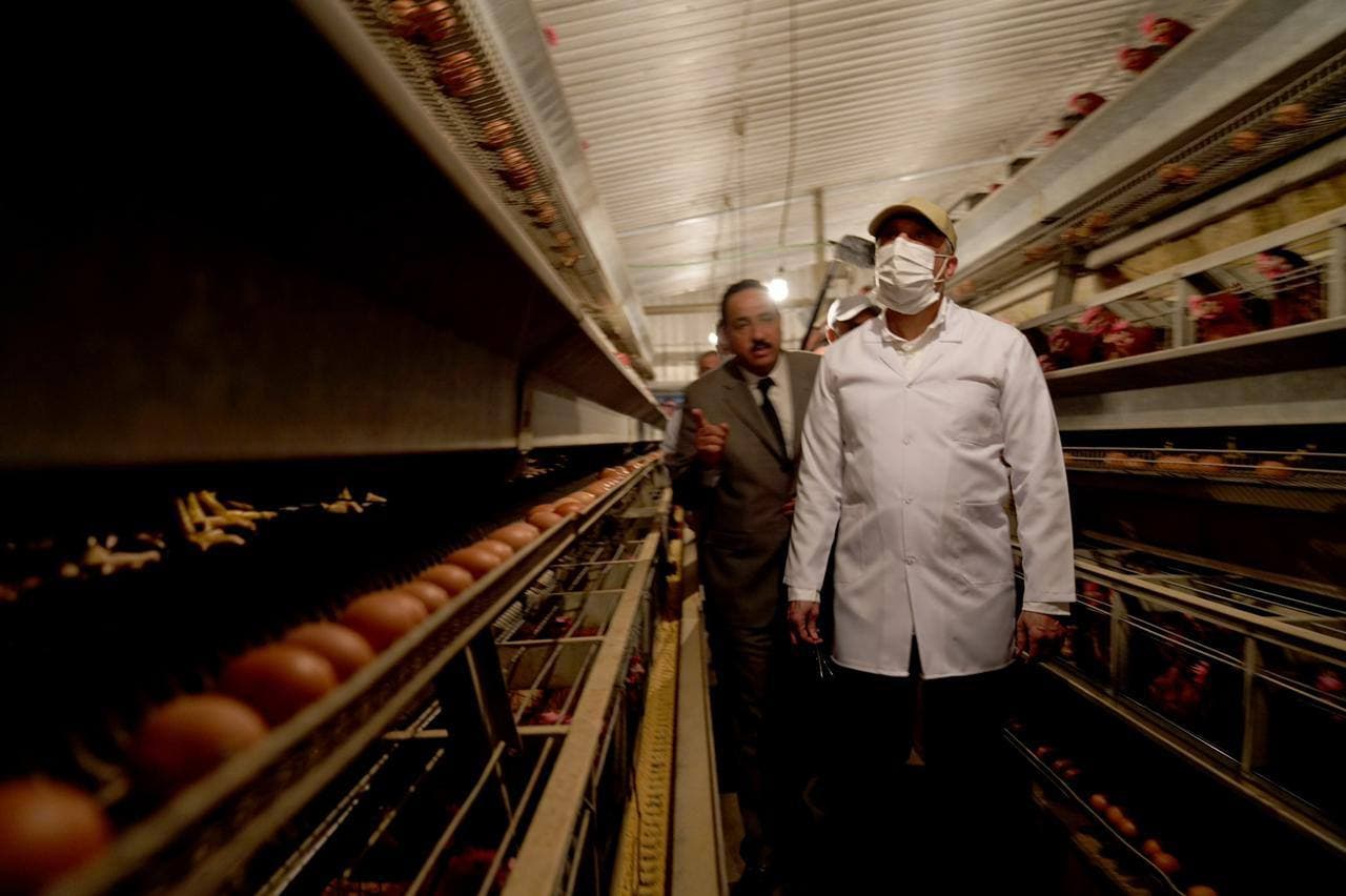 الكاظمي يتفقد عددا من مواقع شركات الإنتاج الزراعي والحيواني في واسط