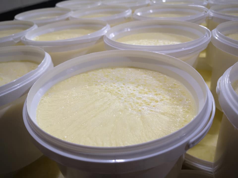 ماذا يحدث لجسمنا إذا تناولنا الزبادي صباح كل يوم ؟