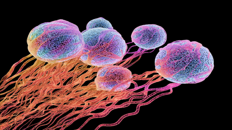 دراسة: نقص في فيتامين محدد قد يحمل أدلة على تطور السرطان !