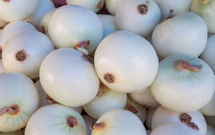 فوائد وأضرار البصل